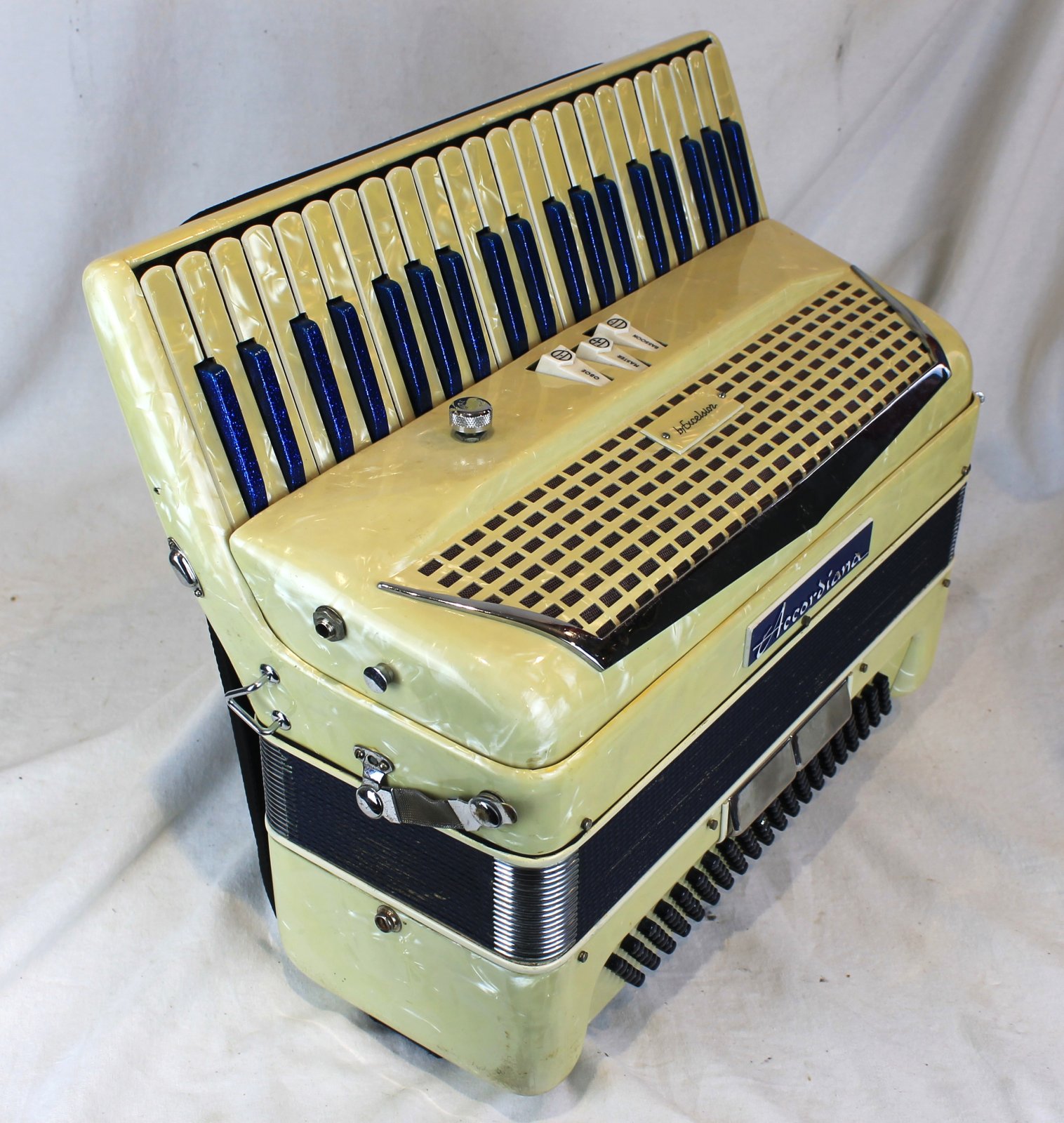 6799 - Blueberry Muffin Excelsior Accordiana Piano Accordion LM 41 120