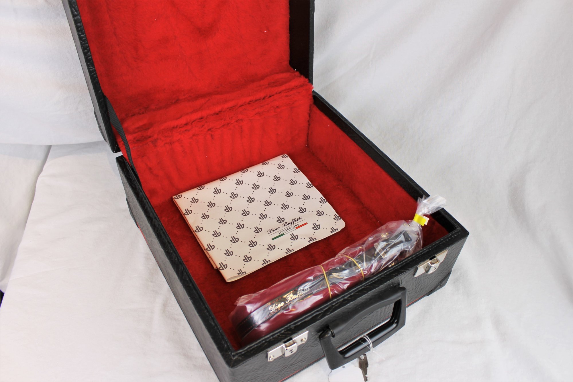 NEW White Pearl Decorated Dino Baffetti Art. 41 Organetto Diatonic