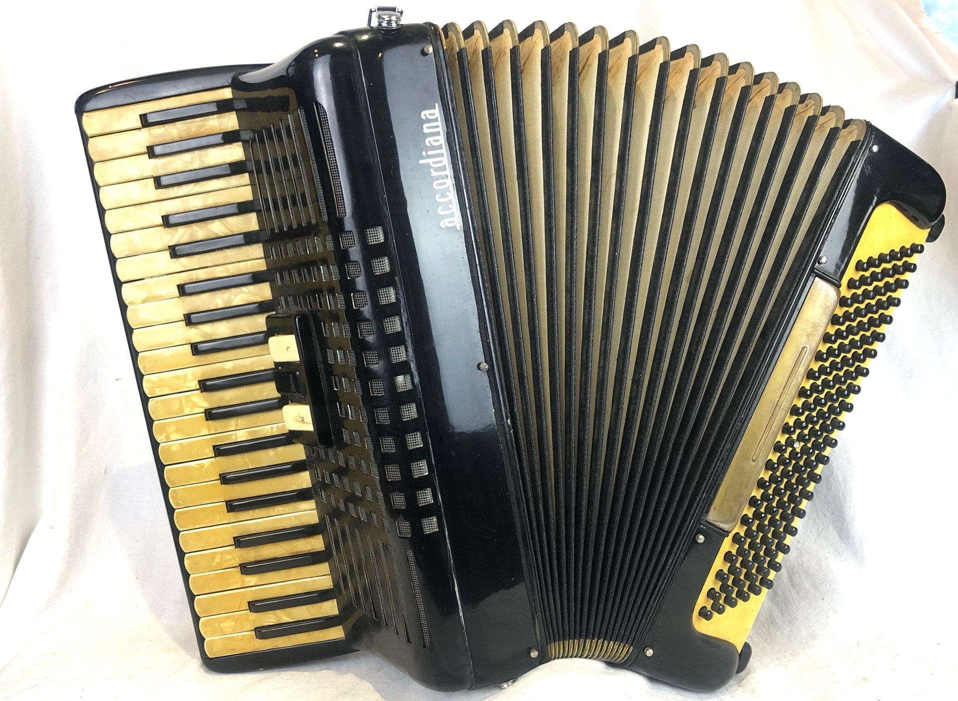 BAL / SPEAKEASY SPECTRA ACCORDION POUCH（Vokal Marjan