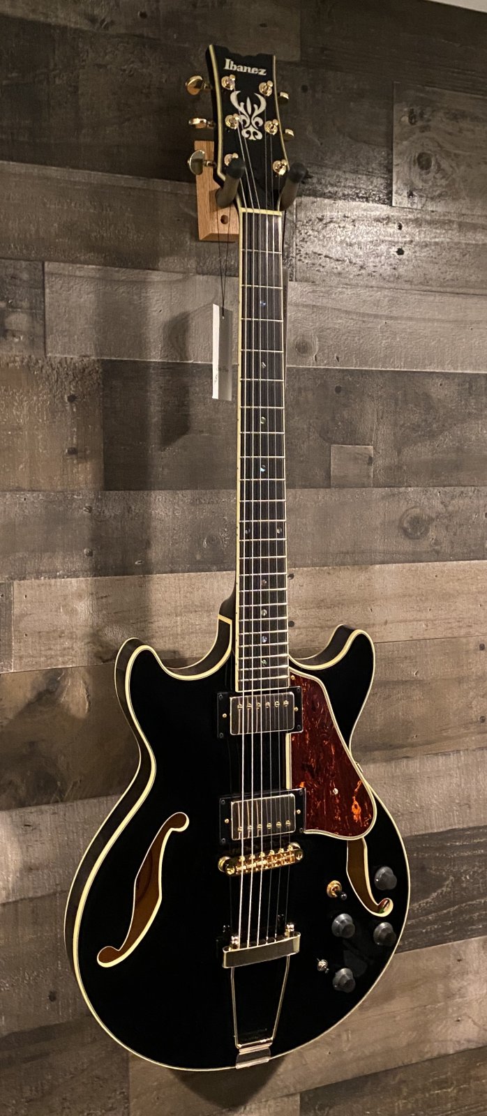 Ibanez AHM 90 BK - 123456789