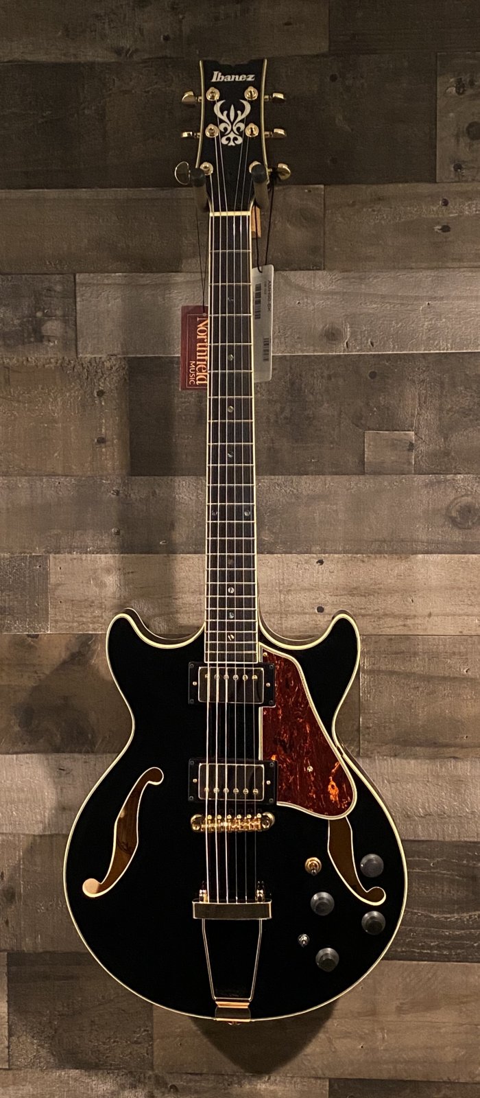 Ibanez AHM 90 BK - 123456789