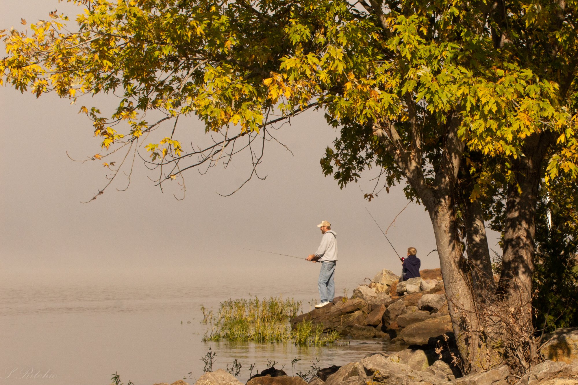 Rentals Russellville Marina and Boat Repair Russellville, Arkansas