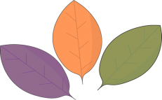 leaves