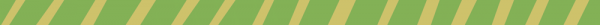 Green Border