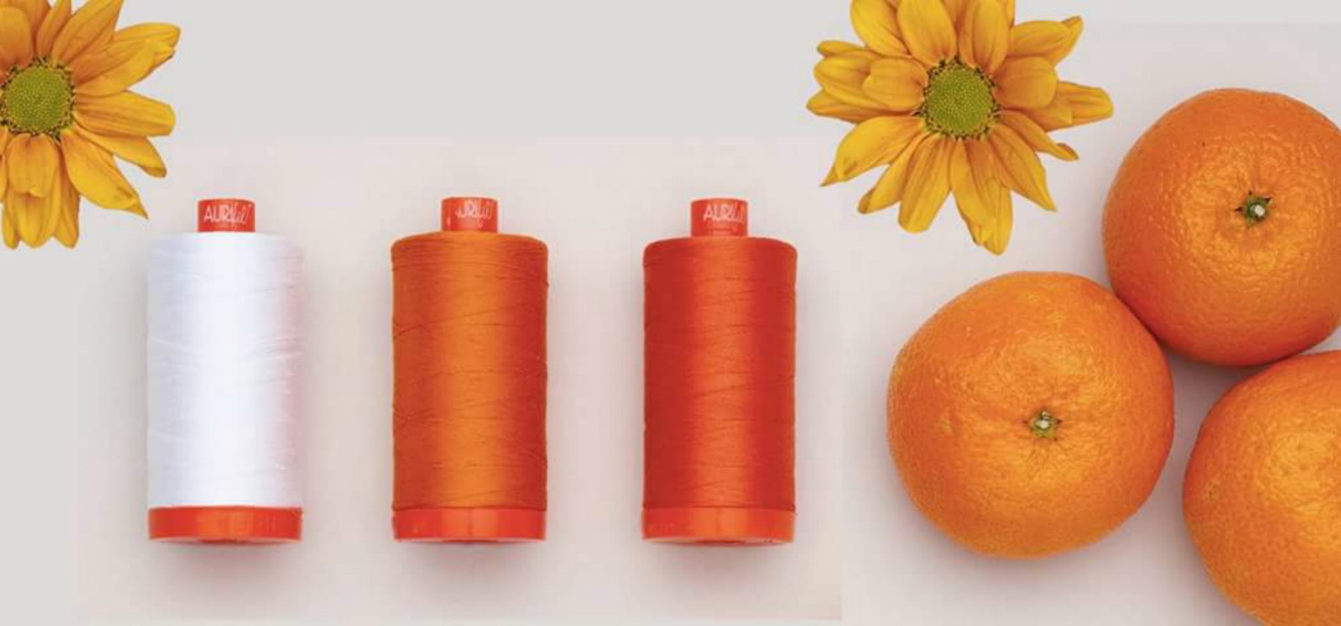 Home Mended Hearts Quilting & Boutique Ellsworth, IA 50075