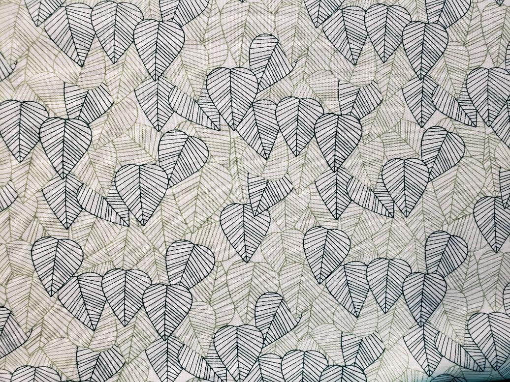 Heart Shaped Leaves Heart shaped leaves