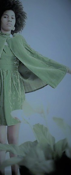 green velvet cape and dress