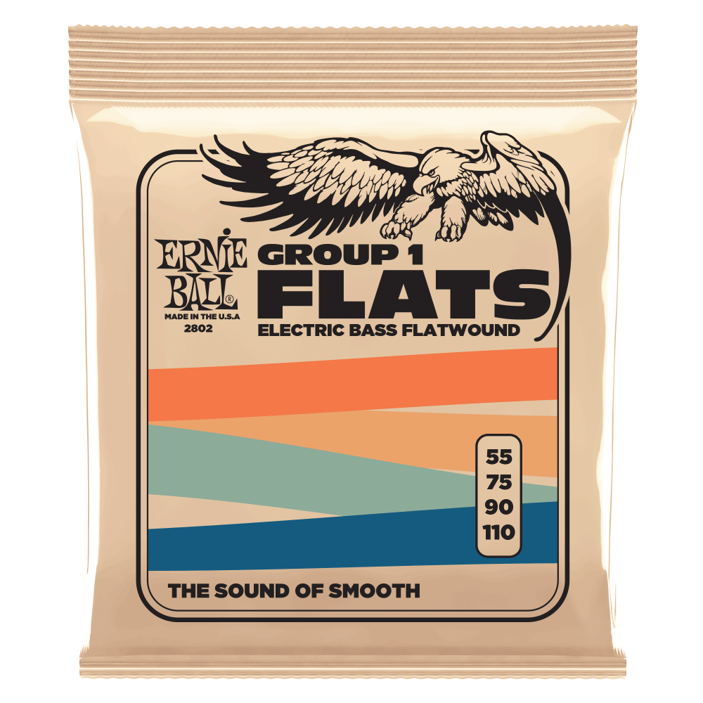 Ernie Ball 2802 Group 1 Stainless Steel Flatwound Electric Bass Strings 55-110 Gauge