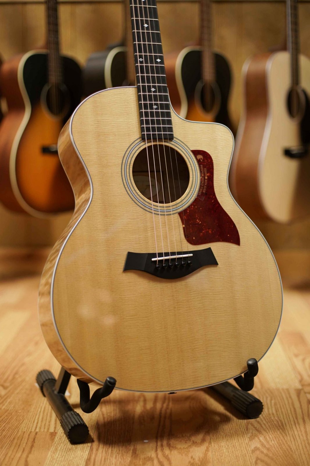 Acoustic Guitars