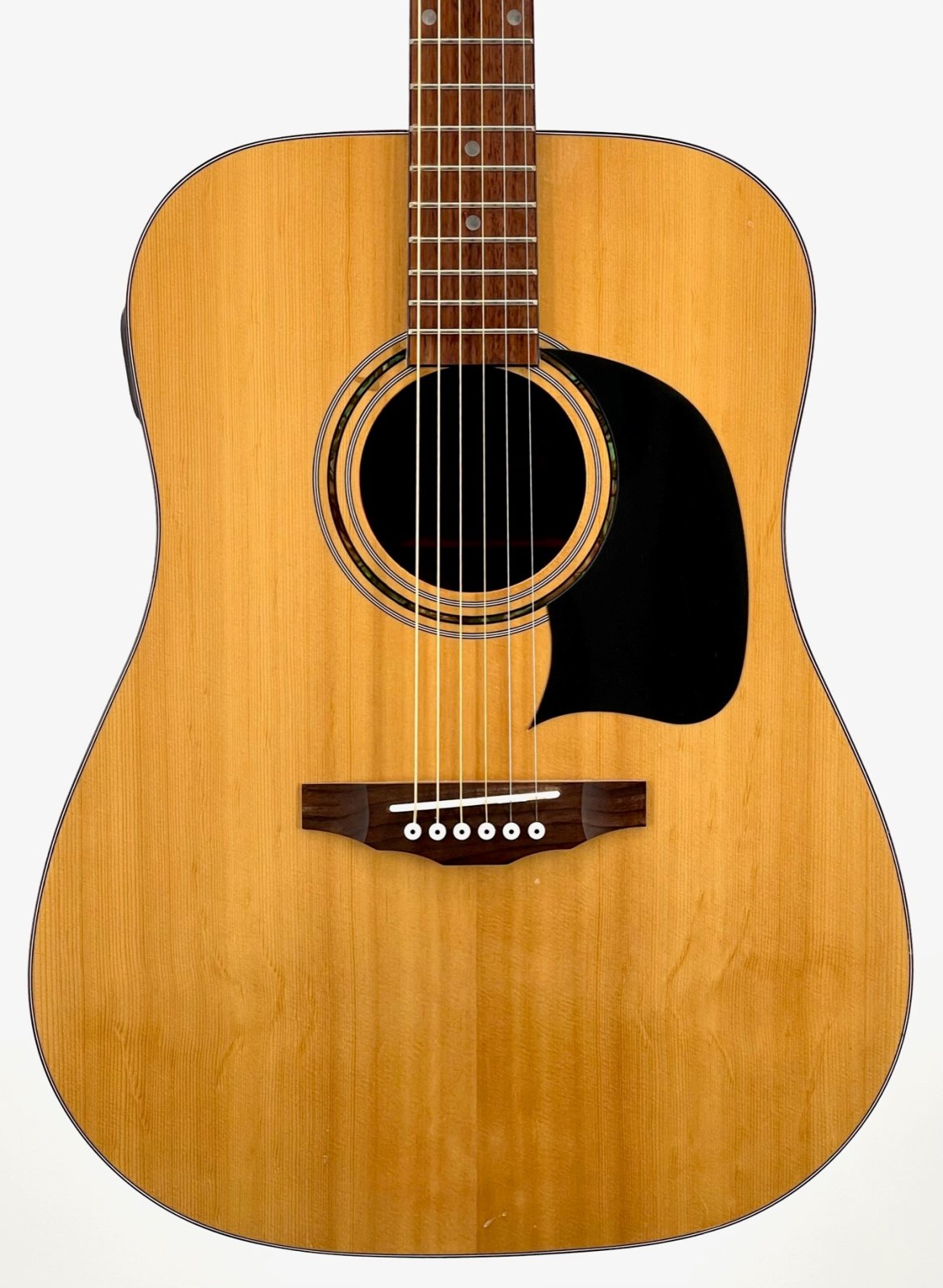 Washburn Lyon LG2TPAK acoustic dreadnought guitar with built