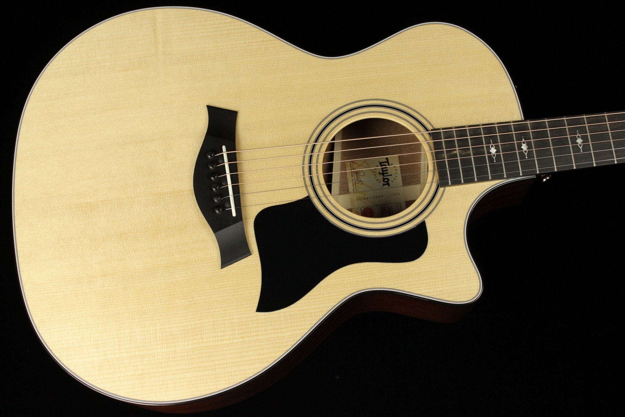 Taylor 314ce LR Baggs Anthem付き Taylor 314CEA Anthem Equipped V Brace Grand Auditorium with case