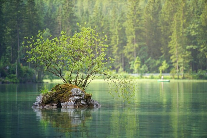 lake scene