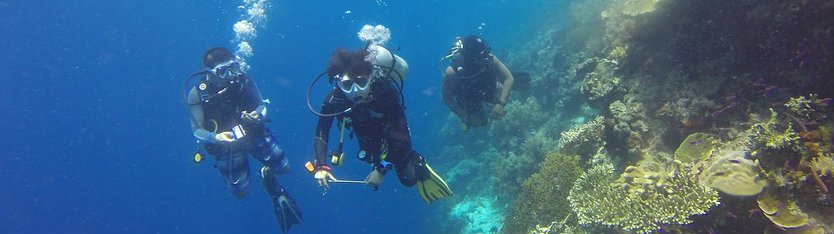 Black Hills Aquatic Adventures | Rapid City, SD