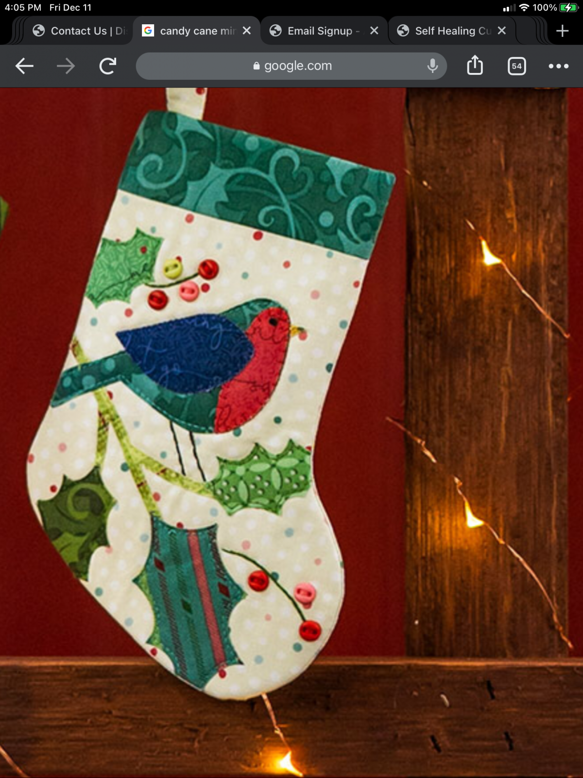 Kit For Holly Bird Better Not Pout Mini Stocking Ornament