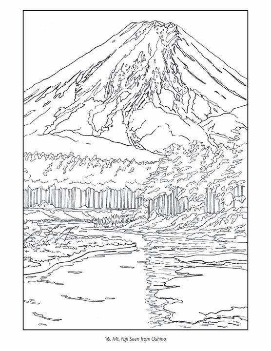 城と騎士（カラーイラスト世界の生活史 8） 本
