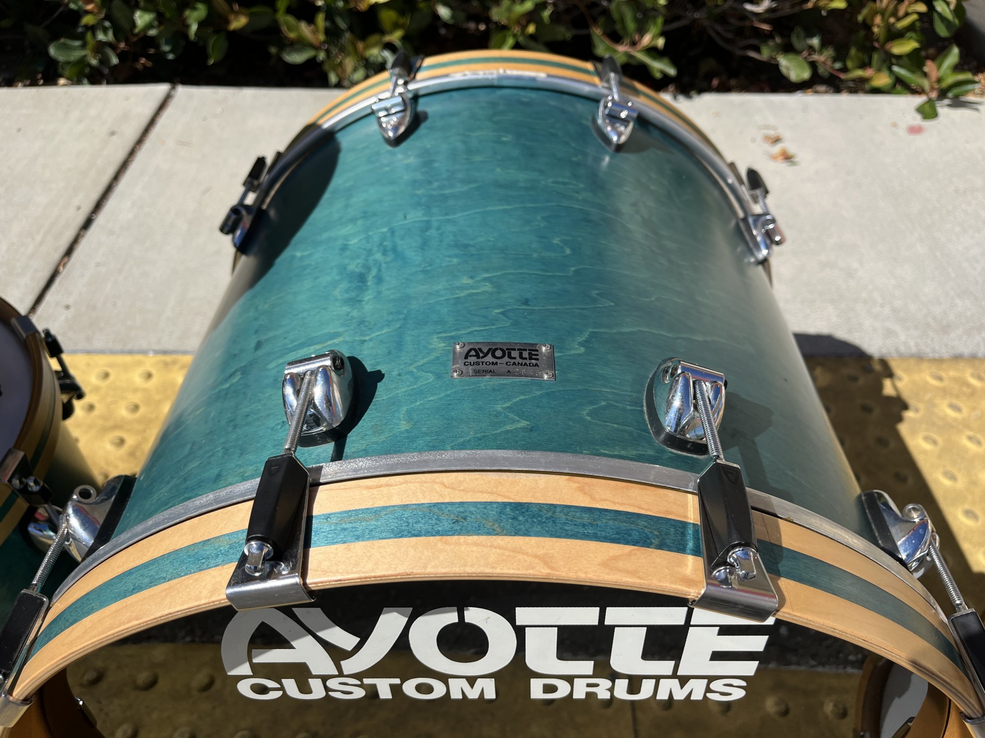 Ayotte Custom Doran Green Wood Hoop Drum Set Ray Era 20/10/12/15 Ayotte Custom Doran Green Wood Hoop Drum Set Ray Era 20/10/12/15