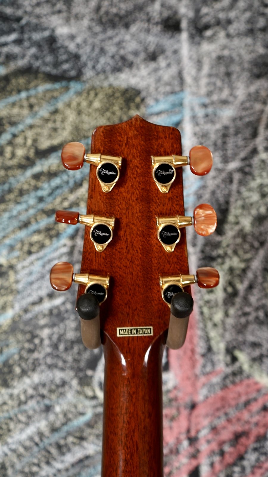 Takamine Santa Fe PS-48C