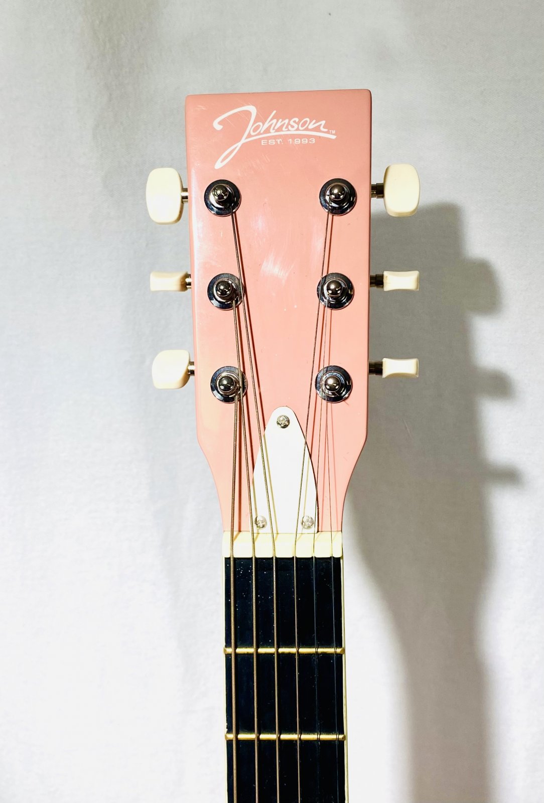 ギター Johnson EST.1993 electro-acoustic guitar ギター Johnson EST.1993 electro-acoustic guitar Johnson Est