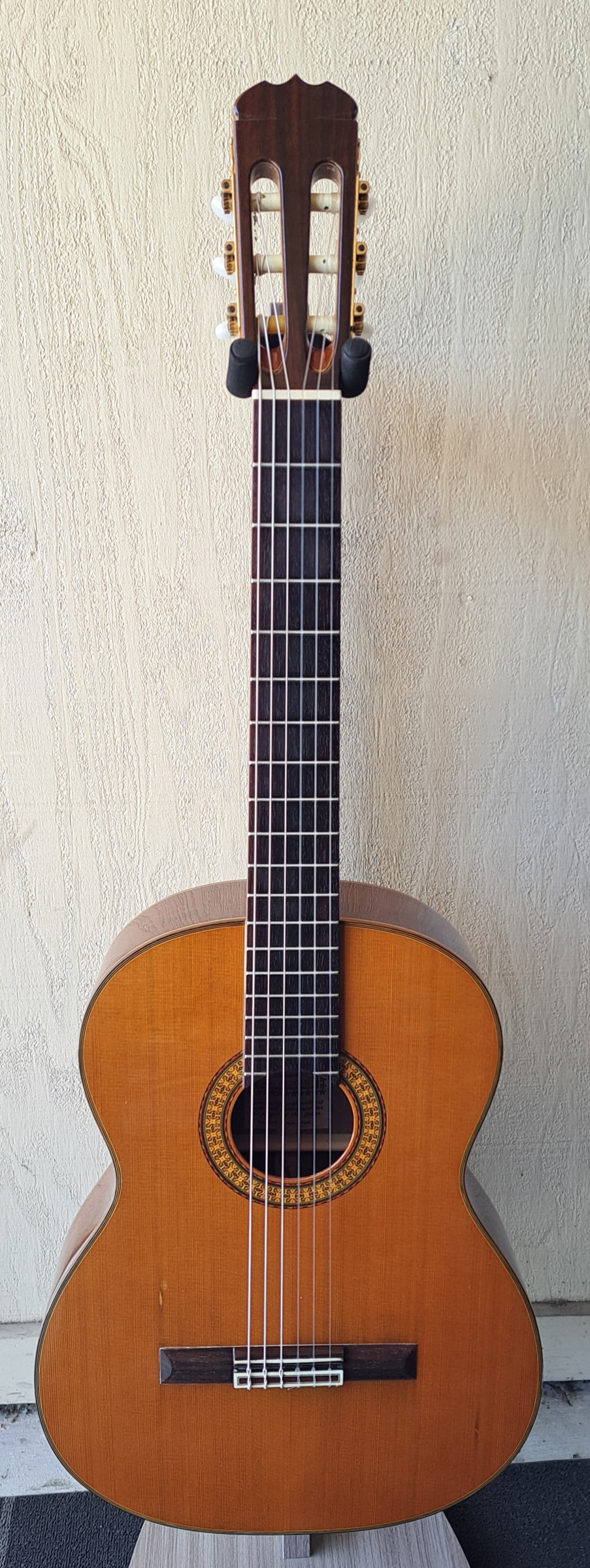 takamineギター Open Box Takamine EG562C FXC Thin Line Acoustic-Electric