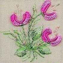 Three Jasmines Beginner Brazilian Embroidery Kit