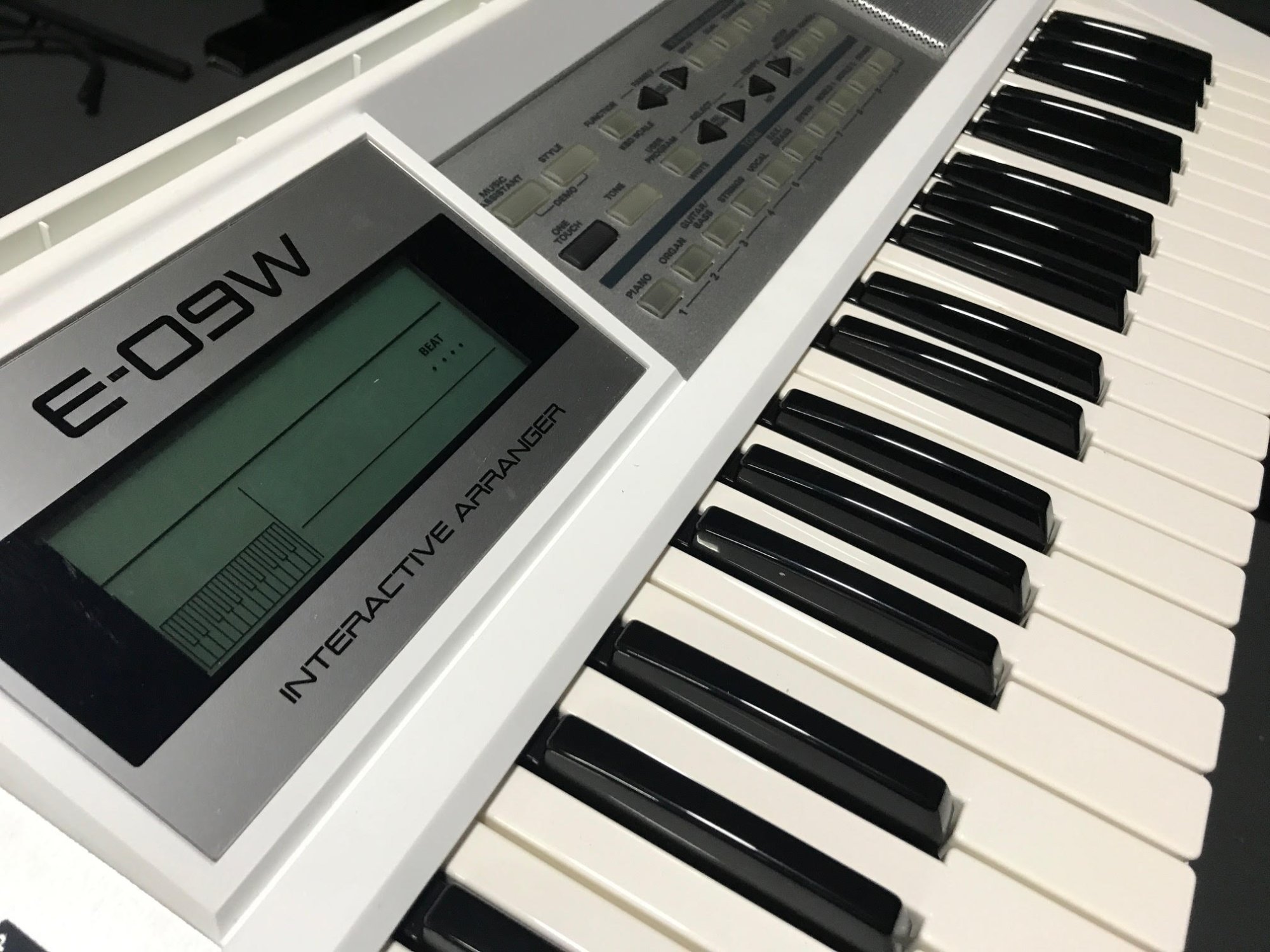 Roland E-09W 61-Key Keyboard (Used) - 890313