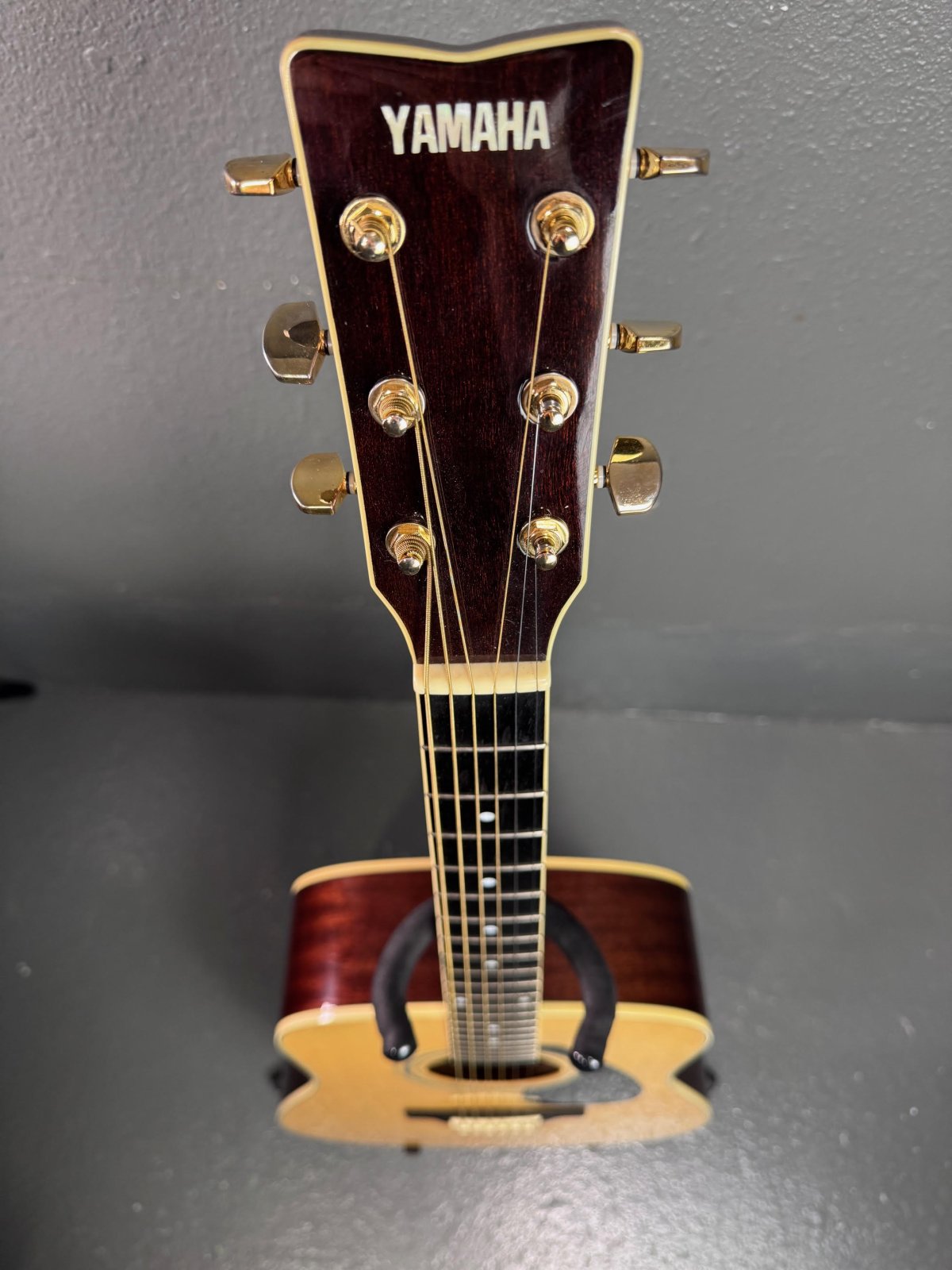キタルファ Yamaha Pacifica Standard Plus PACS+12M HSS Maple Fingerboard