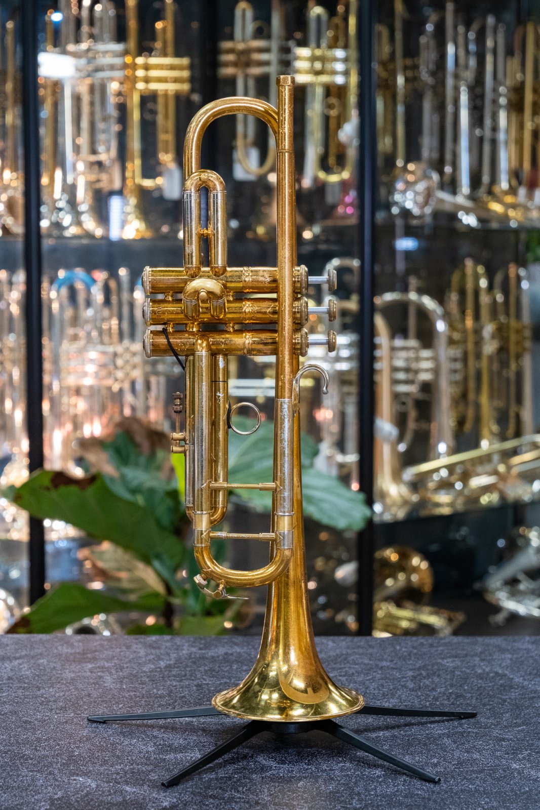 Mount Vernon Bach 8C マウントバーノン V.Bach 8C こんなの入荷しました。「V.BACH TP 37MLGP・Mt.VERNON