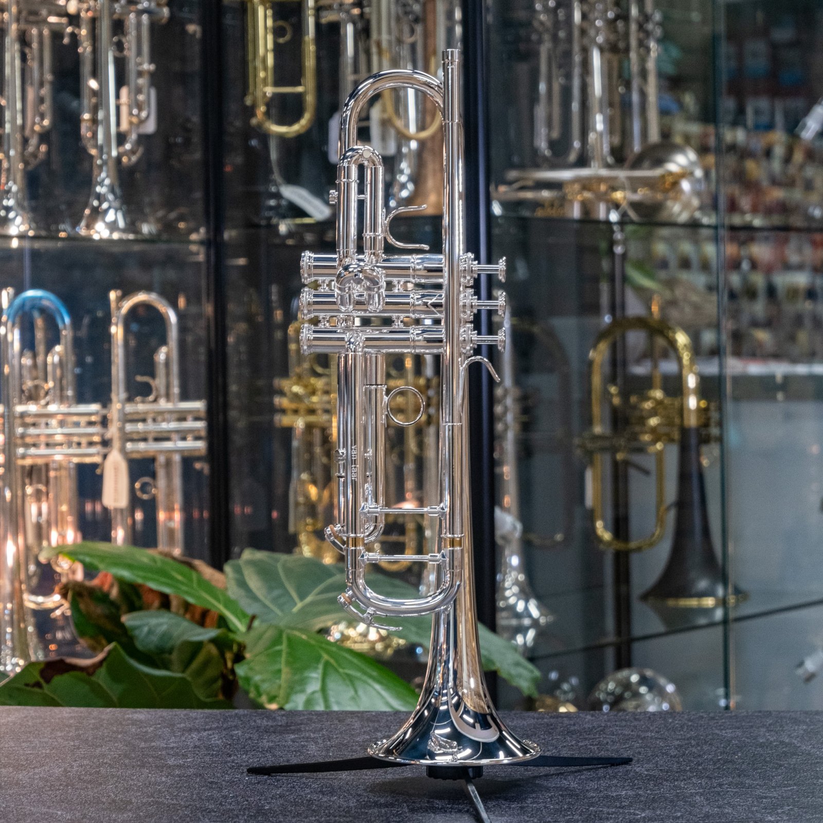 Van Laar B1 (Silver) - New