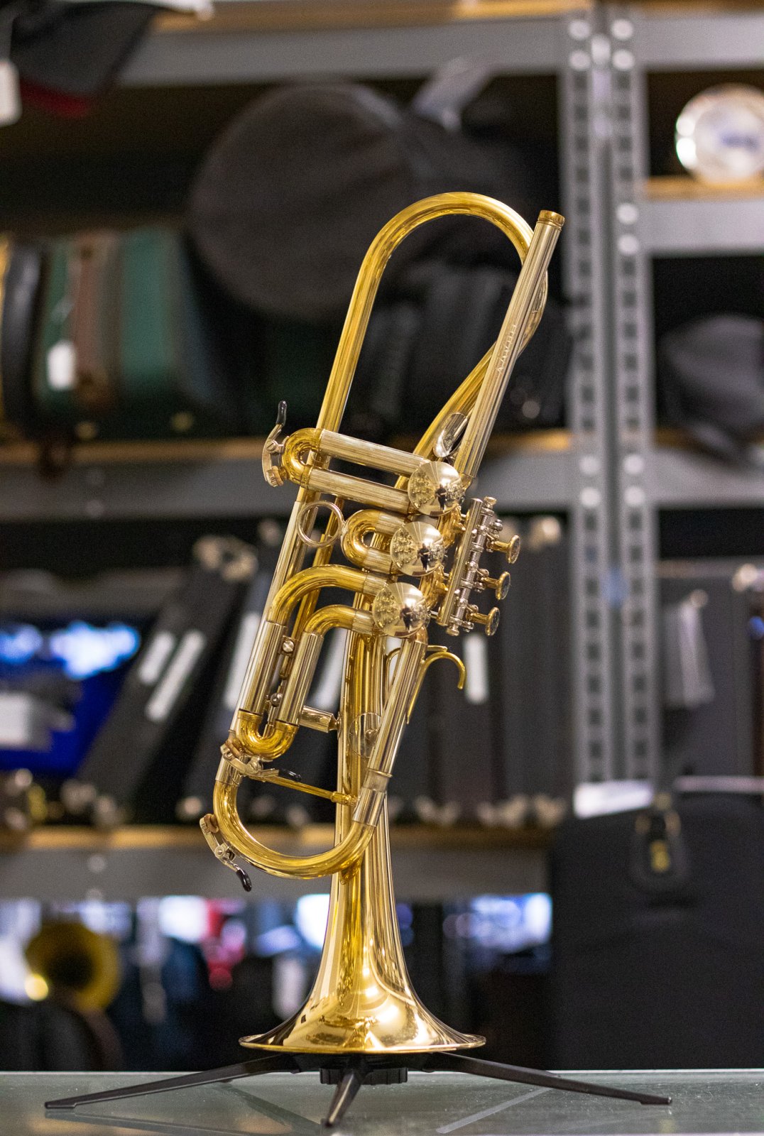 【第1位獲得！】 Ganschhorn Schagerl Heavy New - 管楽器・吹奏楽器