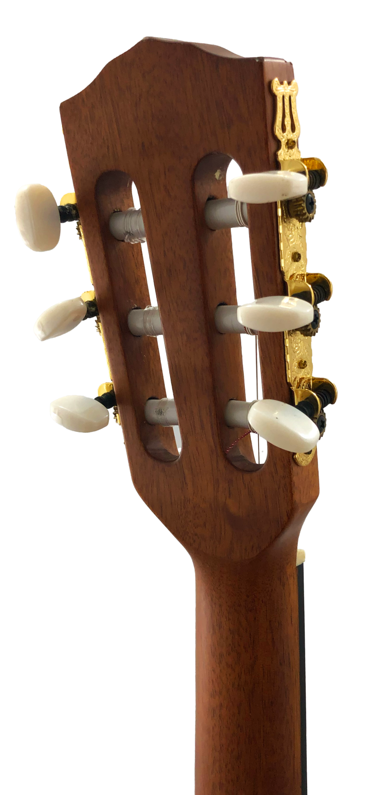 【ジャンク】Fender CN-240SCE NAT エレガット ジャンク】Fender CN-240SCE NAT エレガット