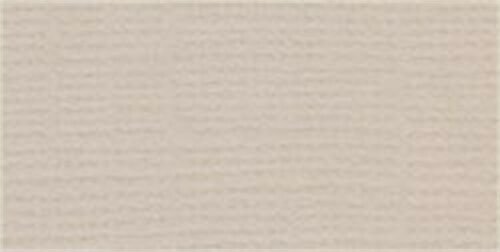 Bazzill Mono Cardstock 12X12-Twig/Canvas - 846523018364
