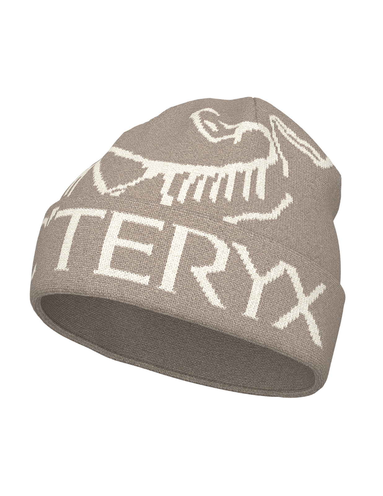 Bird Word Toque | Arc'teryx