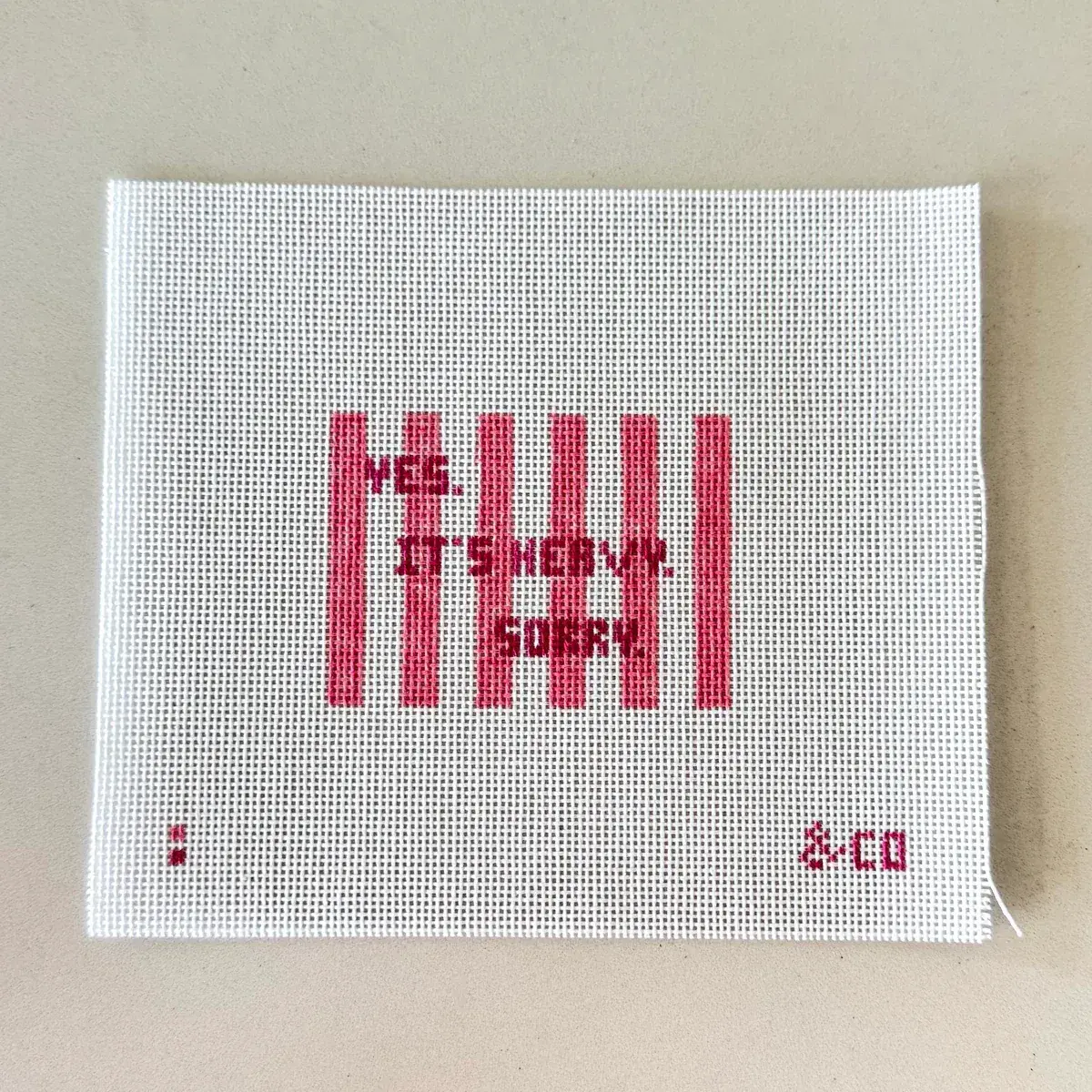 Yes, It's Heavy. Sorry Luggage Tag Pink