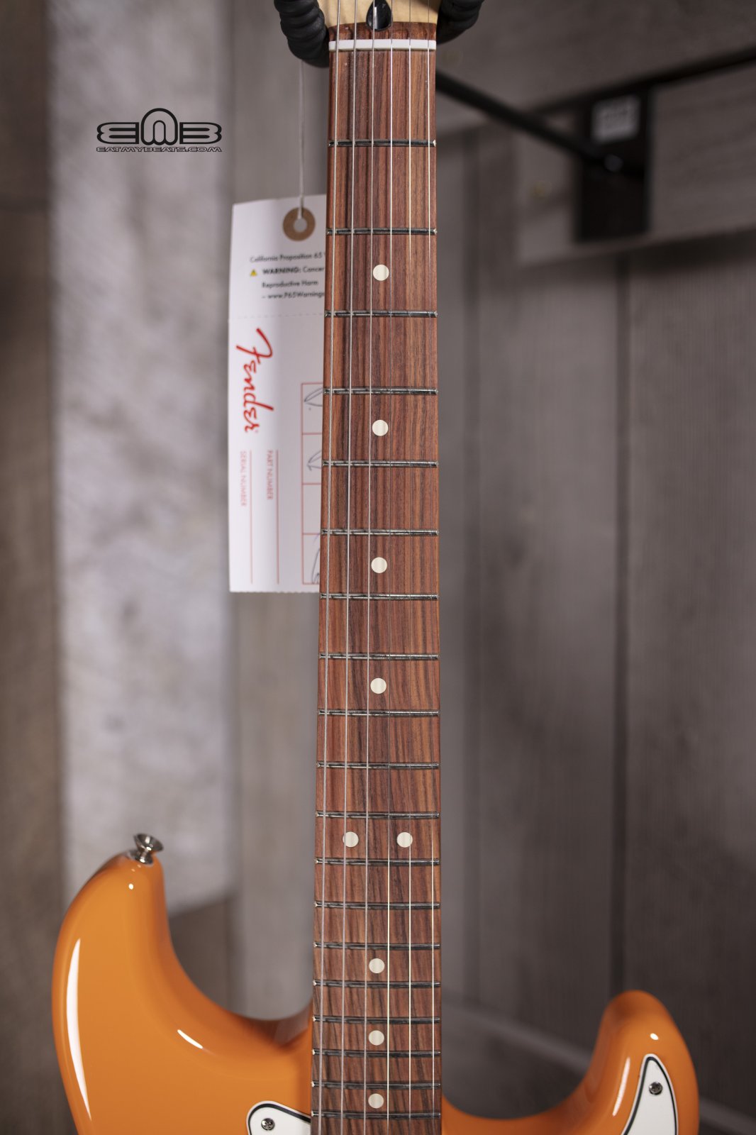 Fender Player Stratocaster HSS, Pau Ferro Fingerboard, Capri