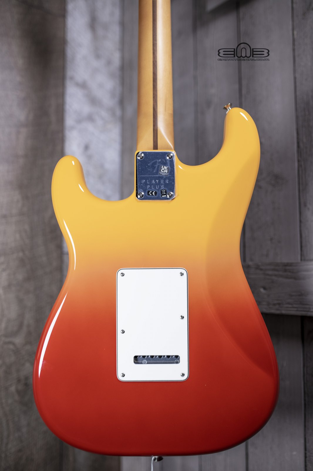 Fender Player Plus Stratocaster, Maple Fingerboard, Tequila