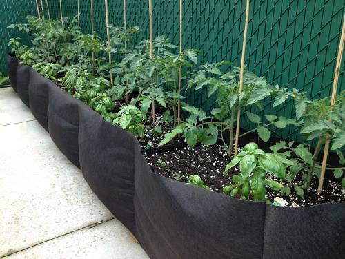 Smart Pot Big Bag Raised Bed Long 6 Ft 4 Cs