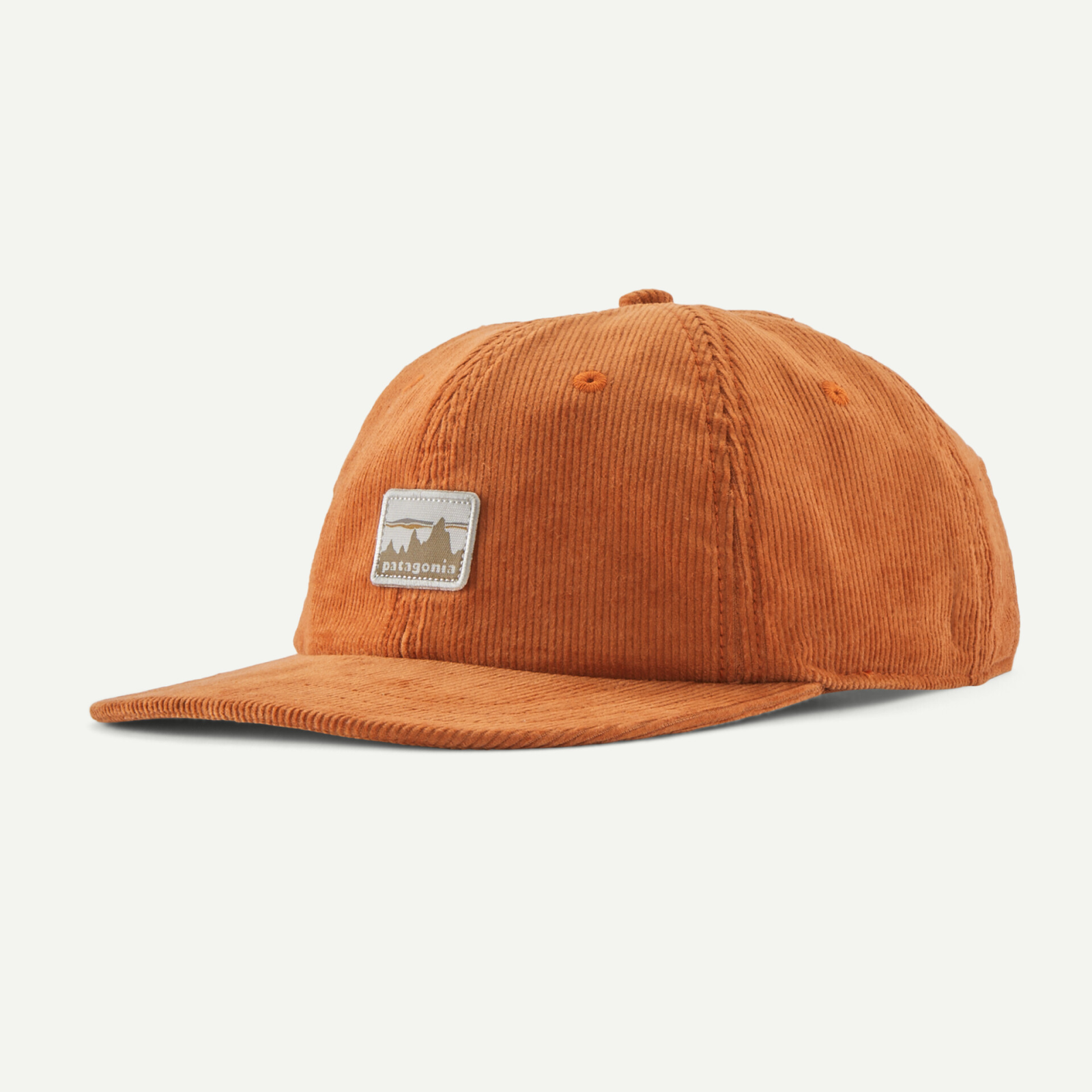 Patagonia Corduroy Cap - '73 Skyline Robin Brown 33535