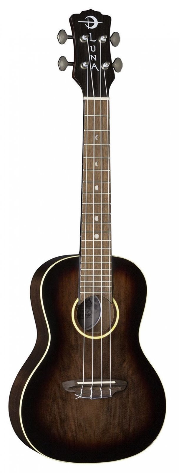 Fretted Instruments