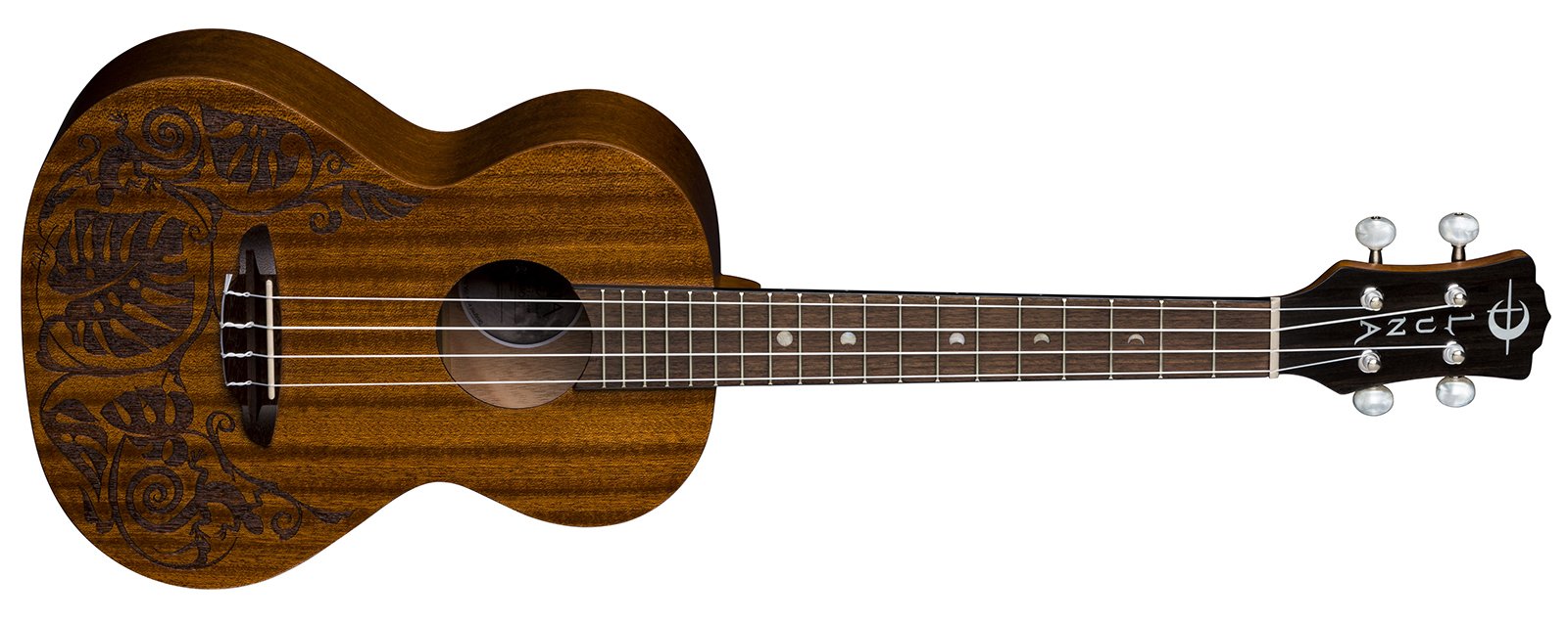 Fretted Instruments