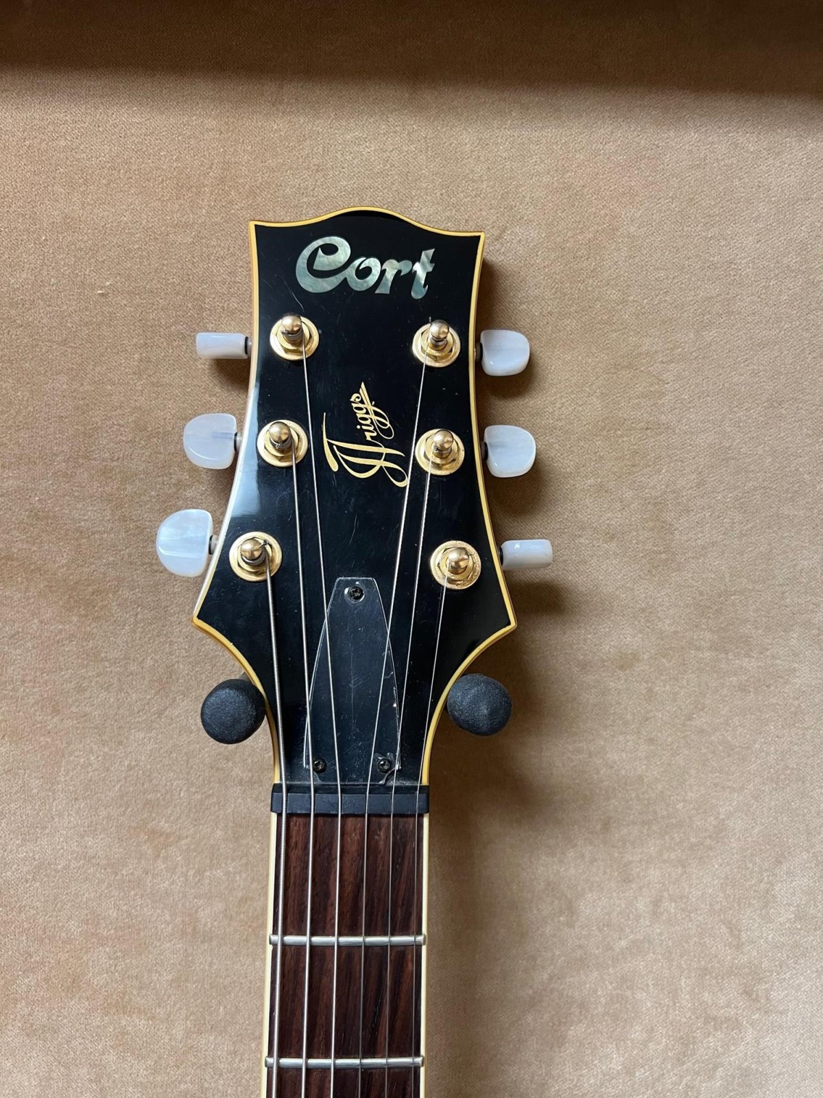 Cort J. Triggs TRG-1 Hollow Body Electric Guitar