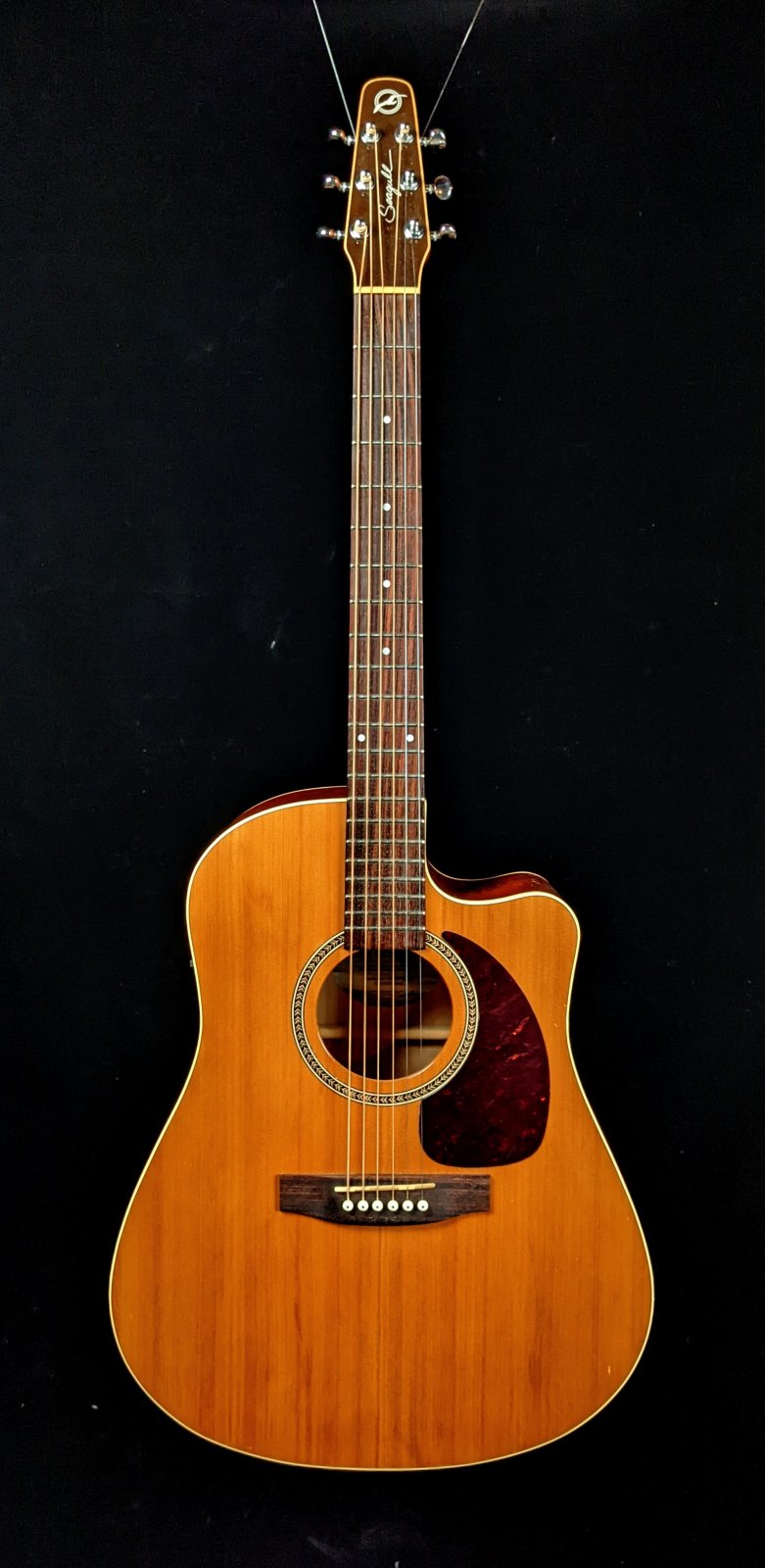 seagull アコースティックギター　made in Canada 5/9更新) カナダ製アコギ特集！Art&Lutherie・seagull・Simon