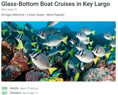 Book your Glass Bottom Boat Tour