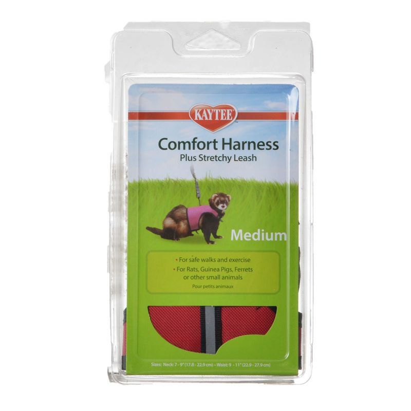 kaytee comfort harness