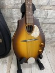 弦楽器 Seagull / S8 Mandolin Sunburst EQ 楽天市場】Seagull S8 Mandolin Sunburst EQ 新品 フラット