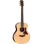 Taylor LTD GS Mini 限定モデル Taylor_GS_Mini_e_Rosewood_SB_L