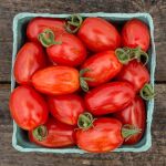 High Mowing Supernova Grape Tomato - 872724006718