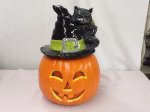 Pumpkin WitchHat Cat