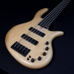 Elrick Expat eVolution 5-String ベース　5弦 E0924p-scaled.jpg