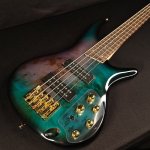 洋楽 Beabadoobee 12inch EP 45rpm Ibanez SR405EPBDX-TSU SR Series 5-String Electric Bass