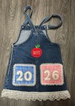 Ready Set Teach Overalls